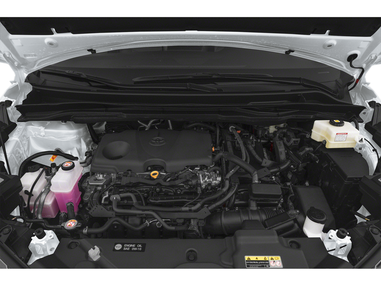 2025 Toyota Sienna XLE 8-Passenger